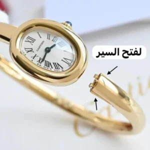 ساعه كارتير بيوانر