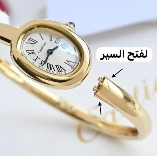 ساعه كارتير بيوانر