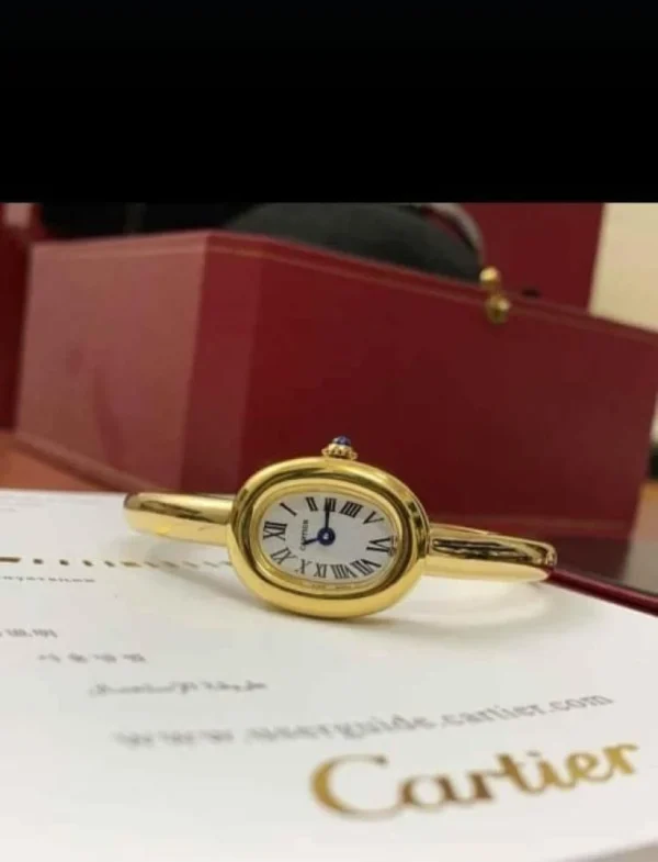 ساعه كارتير بيوانر